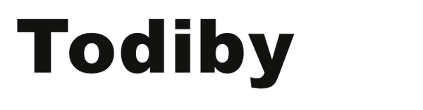Todiby bold wordmark logo