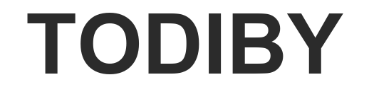 TODIBY uppercase wordmark logo